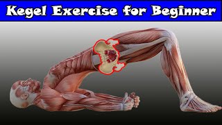 kegel exercise for Beginner men [upl. by Ertnom]