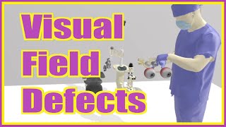 Visual Field Defects  FUN SIMPLE and MEMORABLE [upl. by Ornas]