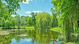 Bellissima musica per pianoforte con natura ispiratrice e serena [upl. by Eramat323]