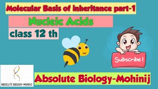 Absolute Biology Mohinijs broadcast DNA NUCLEIC ACIDRNA types of DNA STRUCTURE OF DNA [upl. by Adnarom17]