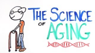 The Science of Aging [upl. by Silvestro506]