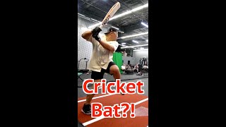 Can a Baseball Player Hit a Home Run With a Cricket Bat [upl. by Klockau738]