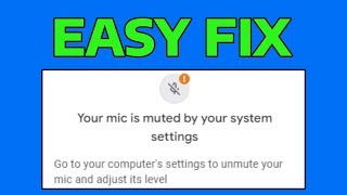 How To Fix Your Mic is Muted By Your System Settings in Google Meet [upl. by Alhan123]