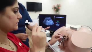 IVF Courses in Delhi [upl. by Eecram679]