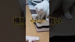 【うちの猫】掃除機との戦い②〜やんのか鼻息荒く shorts ショート 保護猫 ねこ 猫 猫パンチ もふもふ おもしろ 掃除機 ねこのいる暮らし cat [upl. by Eveineg]