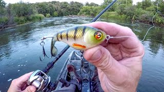 Explosive Action With The Whopper Plopper [upl. by Alvin]