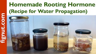 Homemade Rooting Hormone Recipe for Water Propagation [upl. by Shermy]