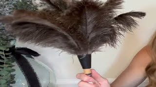 Dusters Killer Ostrich Feather Dusters Dusters Killer Mini Duster Review [upl. by Plath]