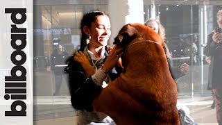 Madison Beer Meets the Dogs Debuting at 140th Westminster Dog Show [upl. by Ahsie768]