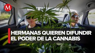 ‘Monjas’ buscar arrebatar el negocio de la mariguana al narcotráfico [upl. by Pollyanna]