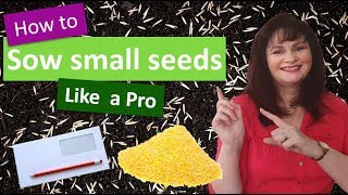 How to sow small seeds like a pro [upl. by Ailis]