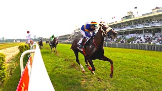 Delhi Race Club Million 2024 Winner  Star Prosperity [upl. by Haimirej453]