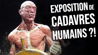 UNE EXPOSITION DE CADAVRES HUMAINS [upl. by Eneja939]