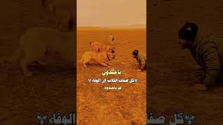 صحيح والله 😏 subscribe ticktack funny reels viralshorts [upl. by Gladdy]