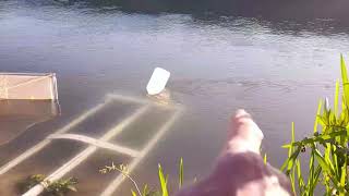 WHITEBAITING THE PUKEHINA VLOG2 whitebait aotearoa fishingtips PUKEHINA [upl. by Cross961]