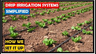 DIY ABOVE GROUND Sprinkler System 2020 UPDATE [upl. by Guyon]