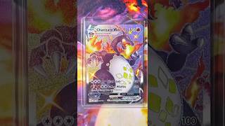 The ULTIMATE Charizard Collection Preview [upl. by Eanert]