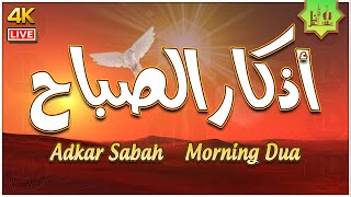 أذكار الصباح بصوت جميل هادئ مريح للقلب 💛 دعاء الصباح 💛 يكفيك الله ويرزقك من حيث لا تحتسب Adkar Sabah [upl. by Cattan]