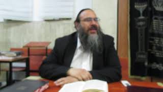 Rabbi Elya Levin  Torah is the real thing [upl. by Volin]