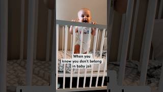 It’s called baby jail during the day wholesomevideo funnybaby funnybabyvideos minicrib cribs [upl. by Enelrahs409]