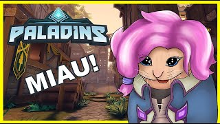 STREAM DE PALADINS EN YT [upl. by Attenor41]