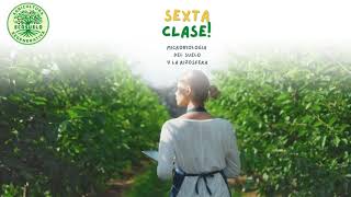 Agricultura Regenerativa Sexta clase 🌿 [upl. by Notsruht]