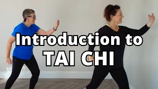 15 MINS TAI CHI  Easy Simple Beginner Movements [upl. by Lundberg]