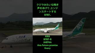 クジラの鳴き声みたいな、エンジンスタート時の重低音❗️ ANA B7878 JA874A Ana future promise livery in新石垣空港 2024年3月10日 [upl. by Yromas]