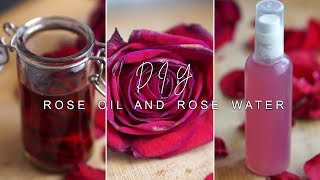 how to make ROSE INFUSED OIL amp ROSE WATER  DIY [upl. by Pease]