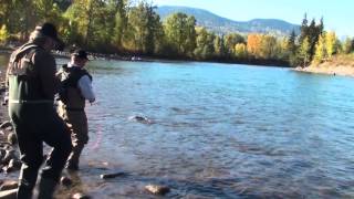 Bulkley Steelhead fly fishing trout creek 2 Wolfgang Fabisch [upl. by Akcimat]