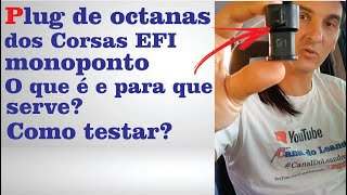 Plug de octanas do Corsa EFI  Sensor de octanagem  Conector de octanas  Canal do Leandro [upl. by Rimat]