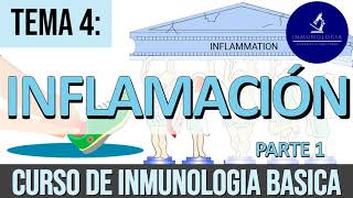 Inflamación Parte 1 Signos Cardinales Cambios Vasculares y Reclutamiento de Leucocitos [upl. by Augustin940]