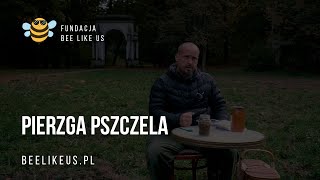 Pierzga pszczela  właściwości prozdrowotne oraz recepta jak ją stosować [upl. by Beka]