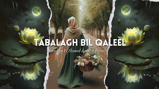 Tabalagh Bil Qaleel  Nasheed by Osman Al Safi  Speed up amp Slowed down  Reverb nasheed peace [upl. by Dal]