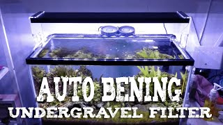 Undergravel Filter Aquascape [upl. by Kristie]