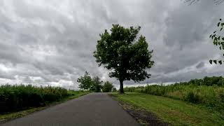 Afternoon Walk at Mount Loretto Grassland and Wetland loop NY [upl. by Ube]