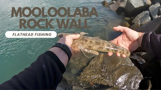 Flathead Fishing Mooloolaba Rockwall [upl. by Ahsenahs597]