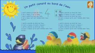 Un petit canard au bord de leau  Les petits minous [upl. by Gabey]