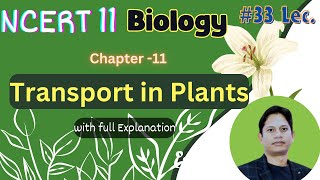 Transport in Plants  Class 11 NCERT Biology Explain  NCERT Lec33 [upl. by Margarida]