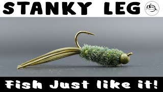 A Simple Fly Pattern That Crushes Fish  The Stanky Leg  Fly Tying Tutorial [upl. by Ellehcil]