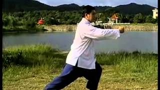 3 正宗楊氏85式太極拳傅清泉 Authentic Yang Style Taichi 85 Form Fu Qingquan [upl. by Klockau]