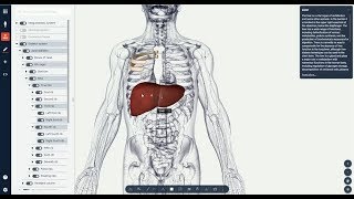 Programme im Unterricht Biodigital zur Erforschung von AnatomieBiologie [upl. by Bethel]