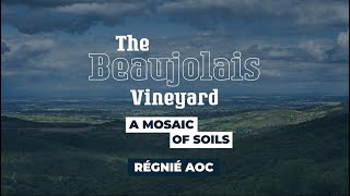 Régnié  The Beaujolais Vineyard a Mosaic of Soils [upl. by Showker]