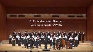 5 Trotz dem alten Drachen―Jesu meine Freude BWV 227J S Bach [upl. by Nielson73]