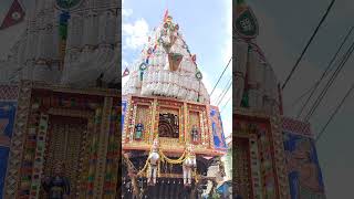 Kalpathy Ratholsavam 2024 shortvideo shortfeed kalpathi kalpathy ratholsavam palakkadfestival [upl. by Ahseinod]