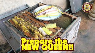 Prepare the NEW QUEEN BEE [upl. by Serrano]