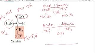 BIOQUÍMICA FORMA PROTONADA E DESPROTONADA DE UM AMINOÁCIDO EM FUNÇÃO DO pH DO MEIO [upl. by Aronoh987]