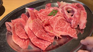 Kobe Beef Heaven  Akihabara Meat Shop Yokocho Tokyo Japan [upl. by Aima403]