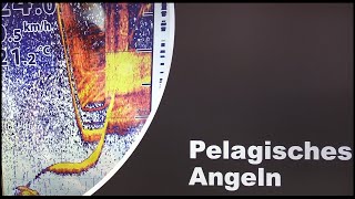 Echolottechnik Teil 3  Pelagisches angeln [upl. by Raknahs]