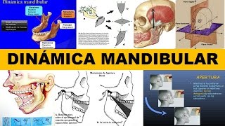 quotDINÁMICA MANDIBULARquot por el Dr Hugo Pérez Suasnabar [upl. by Osborn]